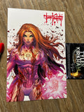 Invincible lithograph set