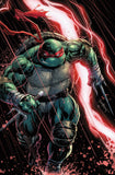 TMNT new 4 set #20 300th issue. (Thunder storm)