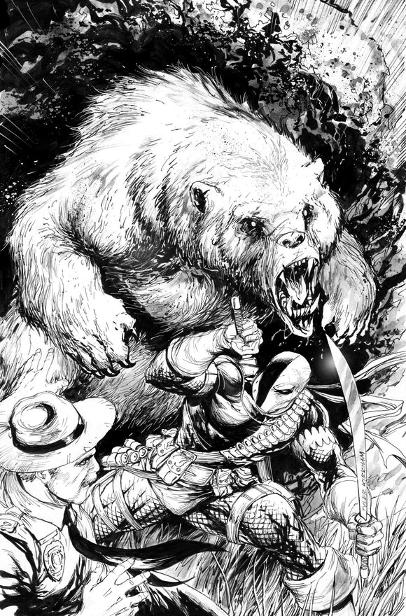 Deathstroke Yogi Bear Special - Cover Art